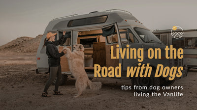Living on the Road with Dogs : Read Tips from Dog Owners Living the Vanlife